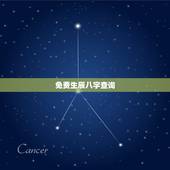 免费生辰八字查询，生辰八字