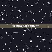 正缘桃花几朵更好好不好，八字只有一朵正缘桃花
