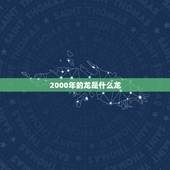 2000年的龙是什么龙，2000年属龙的是什么命五行