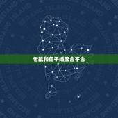老鼠和兔子婚配合不合，96年属鼠和99年兔婚配吗