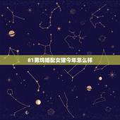 81男鸡婚配女猪今年怎么样，女属猪1983年和男属鸡1981年结婚好吗