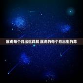 属虎每个月出生详解 属虎的每个月出生的命