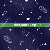 女木命适合做什么生意，农村适合做什么生意