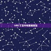 1997丁丑牛年属相命运，97年属什么命