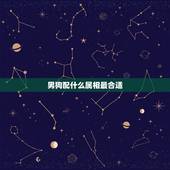 男狗配什么属相最合适，男狗配什么生肖最好