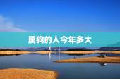 属狗的人今年多大，94年属狗28岁命运