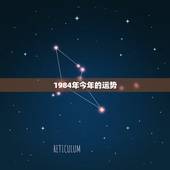1984年今年的运势，84年出生的今年运气怎么样