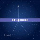 关于12生肖离婚配对，十二生肖配对