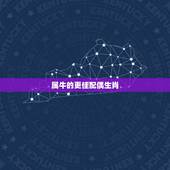 属牛的更佳配偶生肖，属猪女的和属牛男的相配吗