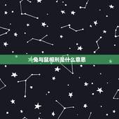 兔与鼠相刑是什么意思，子鼠又与卯兔相刑什么意思