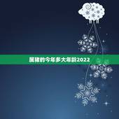 属猪的今年多大年龄2022，属狗的今年多大
