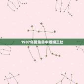 1987年属兔命中婚姻三劫，1987年属兔的婚姻和命运怎么样？