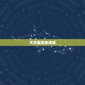 天顶星座查询器，天顶星座怎样查询