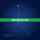 属羊不好十羊九不全，属羊的命苦十羊九不全