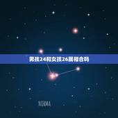 男孩24和女孩26属相合吗，属猴的男人和什么属相的女人最般配？