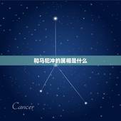和马犯冲的属相是什么，属马的和什么属相相冲？
