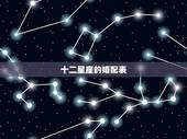 十二星座的婚配表，八字合婚 星座合盘 谢谢