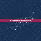 招财猫图帐号名指的是什么，什么是招财猫