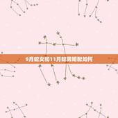 9月蛇女和11月蛇男婚配如何，正月蛇男和十一月蛇女婚配