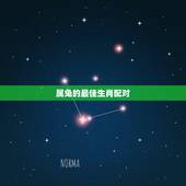 属兔的最佳生肖配对，属兔的什么属相的对象最好