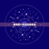 属狗男11月出生的命运，十一月属狗的什么命