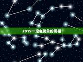 2019一定会脱单的属相，2019下半年里面，最容易脱单的星座都有哪些