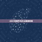 2021年属牛与什么属相犯相，2021年犯太岁最凶的四大生肖是什么？