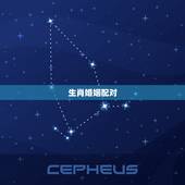 生肖婚姻配对，最吉利最齐全十二生肖婚配表搭配的吗