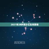2021年28岁属什么生肖属相，今年28岁的虚岁的属什么生肖？