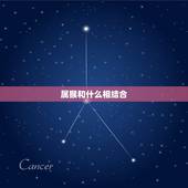 属猴和什么相结合，属猴和属蛇的合不合