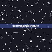 属牛的跟朋友哪个属相合，属牛牛跟什么属相合