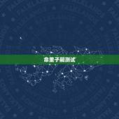 命里子嗣测试，八字测子嗣 97年04 15 13点？