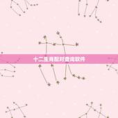 十二生肖配对查询软件，属相配对查询