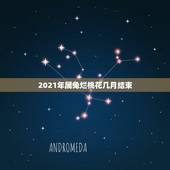 2021年属兔烂桃花几月结束，2021年属兔人每月运势及运程？
