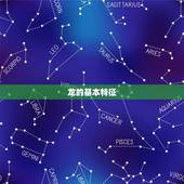 龙的生肖配对属相(搭档共创美好未来)