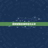 招财进宝合体字念什么字，招财进宝合体字怎么打 招财进宝合体字怎么读
