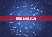 腊月鼠的命运怎么样，2022 年属鼠腊月出生好吗