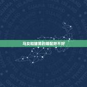 马女和猪男的婚配好不好，属马女和属猪男的相配吗