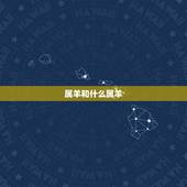 属羊和什么属羊，1991夫妻都属羊好不好