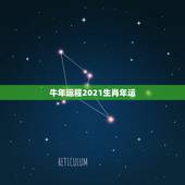 牛年运程2021生肖年运，牛年运势2021年运势12生肖运势