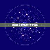 属鼠和属龙的适合做夫妻吗，男鼠和女鸡属相合不合