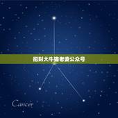 招财大牛猫老婆公众号，财经类的微信公众号？