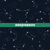 泰国清债龟佩戴须知，清债龟可以给别人碰吗？