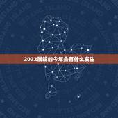 2022属蛇的今年会有什么发生，蛇人2023年运势完整版
