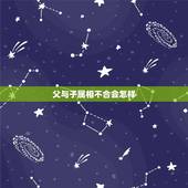 父与子属相不合会怎样，父母子女属相不合怎么办