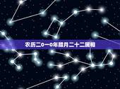 农历二0一0年腊月二十二属相，2009年阴历腊月二十二出生的孩子属相是