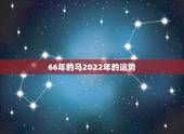 66年的马2022年的运势，男1966年五月初七午时马2022年运气如