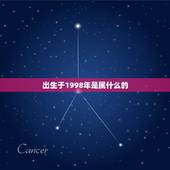 出生于1998年是属什么的，1998年出生是什么命