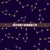 属牛同哪个属相婚配大吉，属牛的属相婚配表