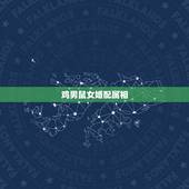 鸡男鼠女婚配属相，有同是鸡男鼠女婚配的吗？
